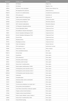 HMM-based profiling identifies the binding to divalent cations and nucleotides as common denominators of suramin targets